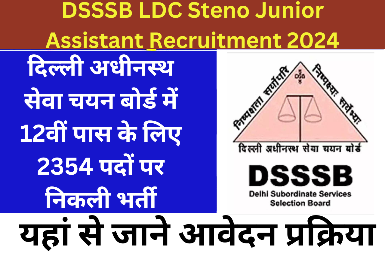 DSSSB LDC Steno Junior Assistant Recruitment 2024: दिल्ली अधीनस्थ सेवा चयन बोर्ड में 12वीं पास के लिए 2354 पदों पर निकली भर्ती, यहां से जाने आवेदन प्रक्रिया