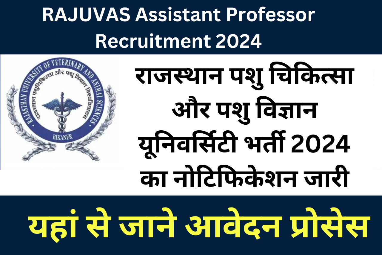 RAJUVAS Assistant Professor Recruitment 2024: राजस्थान पशु चिकित्सा और पशु विज्ञान यूनिवर्सिटी भर्ती 2024 का नोटिफिकेशन जारी, यहां से जाने आवेदन प्रोसेस