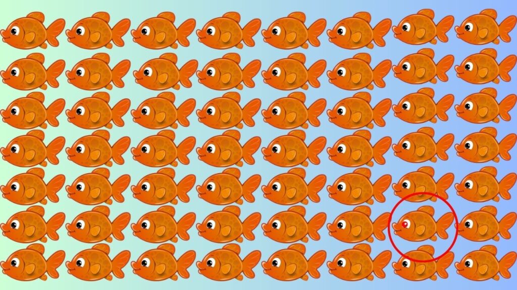 Optical illusion: क्या अर्जुन जैसी तेज नजर है आपकी ? तो 5 सेकंड में ढूंढें लाल आँख वाली मछली, मान जाएंगे तेज नजर के राजा